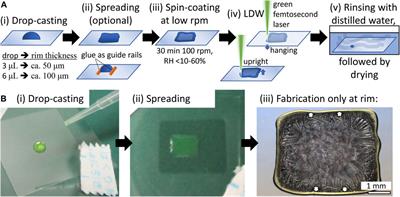 Femtosecond laser direct writing of pure three-dimensional fluorescent protein and its application to physiological pH sensing